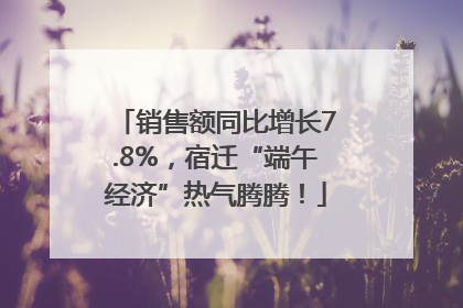 销售额同比增长7.8%，宿迁“端午经济”热气腾腾！