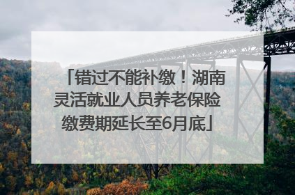 错过不能补缴！湖南灵活就业人员养老保险缴费期延长至6月底