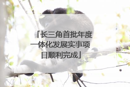 长三角首批年度一体化发展实事项目顺利完成