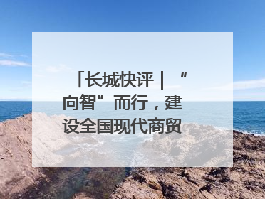 长城快评｜“向智”而行，建设全国现代商贸物流重要基地