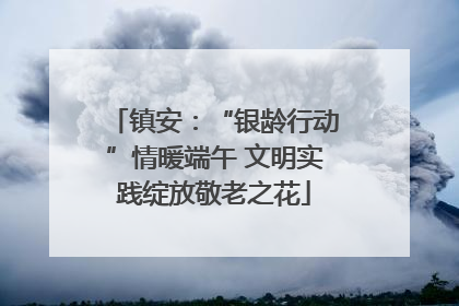 镇安：“银龄行动”情暖端午 文明实践绽放敬老之花