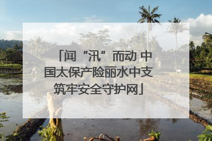 闻“汛”而动 中国太保产险丽水中支筑牢安全守护网