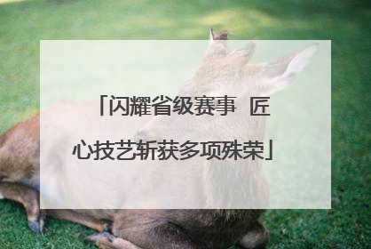 闪耀省级赛事  匠心技艺斩获多项殊荣