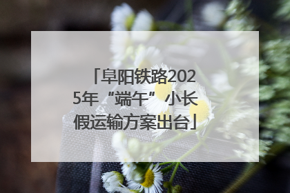 阜阳铁路2025年“端午”小长假运输方案出台