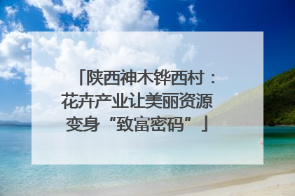陕西神木铧西村：花卉产业让美丽资源变身“致富密码”