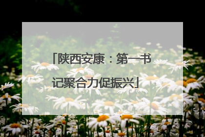 陕西安康：第一书记聚合力促振兴