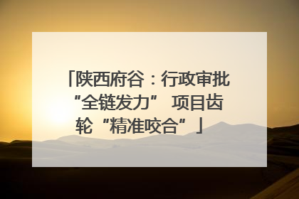 陕西府谷：行政审批“全链发力” 项目齿轮“精准咬合”