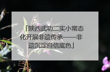 陕西武功二实小常态化开展非遗传承——非遗沉淀自信底色