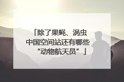 除了果蝇、涡虫 中国空间站还有哪些“动物航天员”