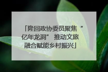 隆回政协委员聚焦“亿年龙洞” 推动文旅融合赋能乡村振兴