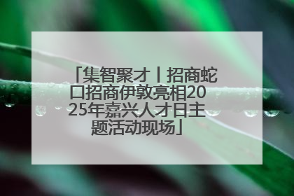 集智聚才丨招商蛇口招商伊敦亮相2025年嘉兴人才日主题活动现场