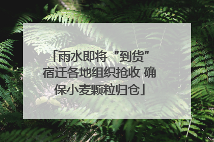 雨水即将“到货” 宿迁各地组织抢收 确保小麦颗粒归仓