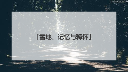 雪地、记忆与释怀