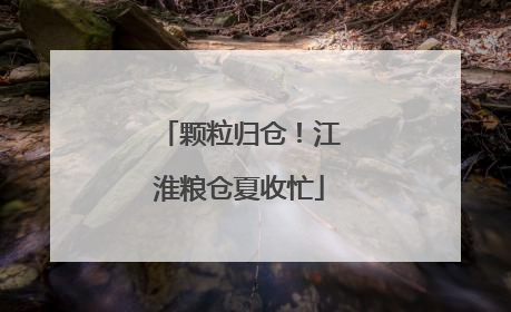 颗粒归仓！江淮粮仓夏收忙