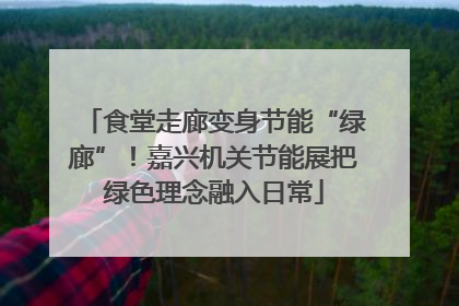 食堂走廊变身节能“绿廊”！嘉兴机关节能展把绿色理念融入日常