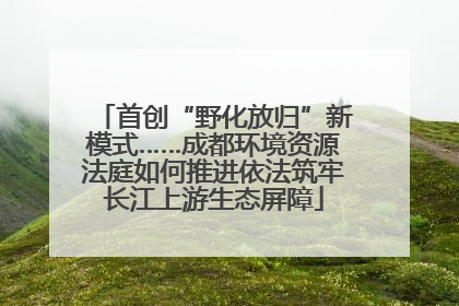 首创“野化放归”新模式……成都环境资源法庭如何推进依法筑牢长江上游生态屏障