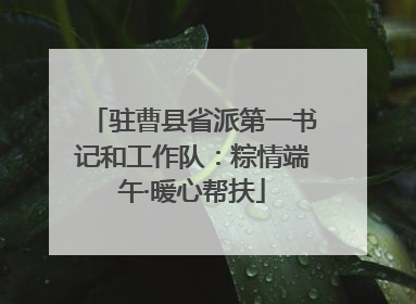 驻曹县省派第一书记和工作队：粽情端午·暖心帮扶