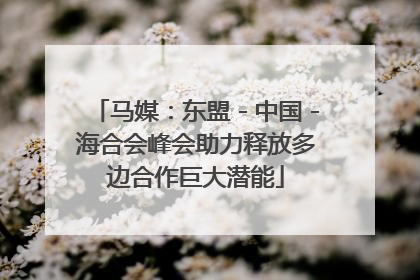马媒：东盟－中国－海合会峰会助力释放多边合作巨大潜能