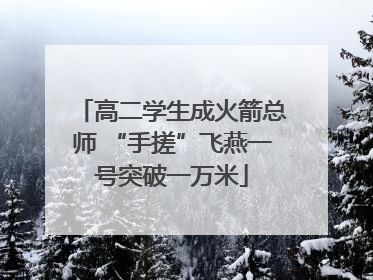 高二学生成火箭总师 “手搓”飞燕一号突破一万米
