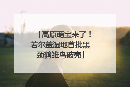 高原萌宝来了！若尔盖湿地首批黑颈鹤雏鸟破壳