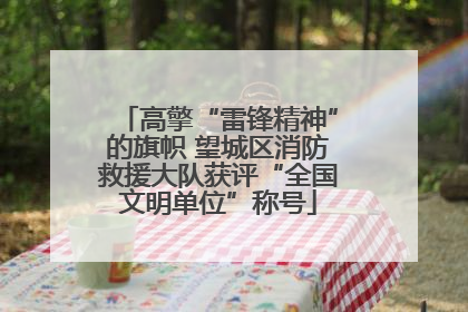 高擎“雷锋精神”的旗帜 望城区消防救援大队获评“全国文明单位”称号