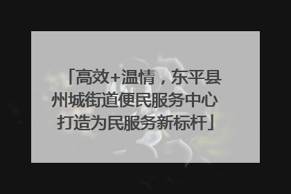 高效+温情，东平县州城街道便民服务中心打造为民服务新标杆