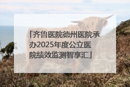 齐鲁医院德州医院承办2025年度公立医院绩效监测智享汇
