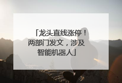 龙头直线涨停！两部门发文，涉及智能机器人