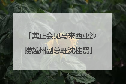 龚正会见马来西亚沙捞越州副总理沈桂贤