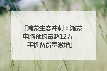 鸿蒙生态冲刺：鸿蒙电脑预约量超12万，手机备货量激增