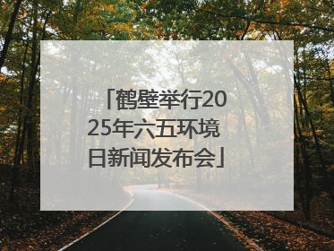 鹤壁举行2025年六五环境日新闻发布会