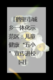 鹤壁市城乡一体化示范区：儿童健康“五小”宣传进校园