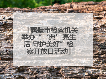 鹤壁市检察机关举办“‘典’亮生活 守护美好”检察开放日活动