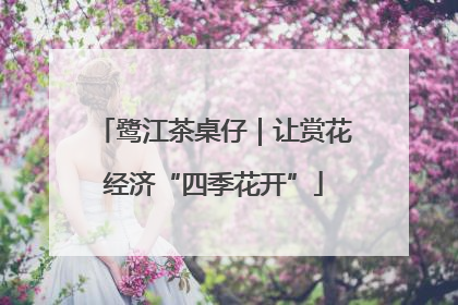 鹭江茶桌仔｜让赏花经济“四季花开”