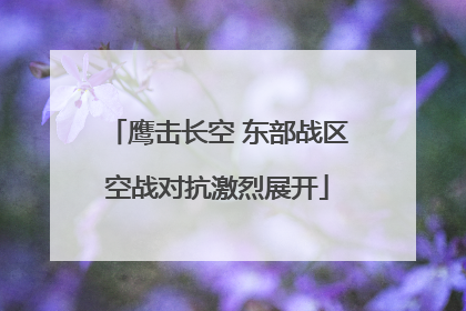 鹰击长空 东部战区空战对抗激烈展开