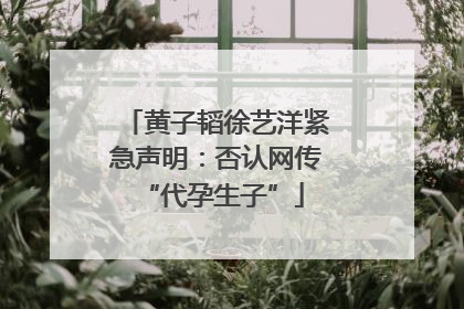 黄子韬徐艺洋紧急声明：否认网传 “代孕生子”