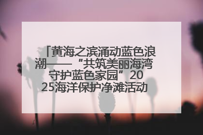黄海之滨涌动蓝色浪潮——“共筑美丽海湾 守护蓝色家园”2025海洋保护净滩活动暨“美丽江苏—江河湖海青蓝行”海洋篇在连云港举行
