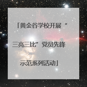 黄金谷学校开展“三亮三比”党员先锋示范系列活动