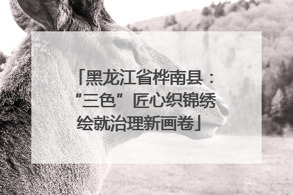 黑龙江省桦南县：“三色”匠心织锦绣 绘就治理新画卷