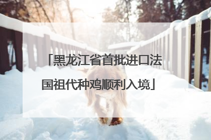 黑龙江省首批进口法国祖代种鸡顺利入境
