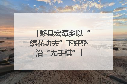 黟县宏潭乡以“绣花功夫”下好整治“先手棋”