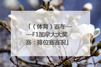 （体育）赛车——F1加拿大大奖赛：排位赛赛况