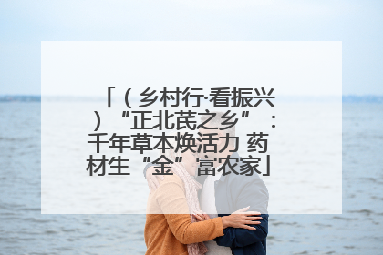 （乡村行·看振兴）“正北芪之乡”：千年草本焕活力 药材生“金”富农家
