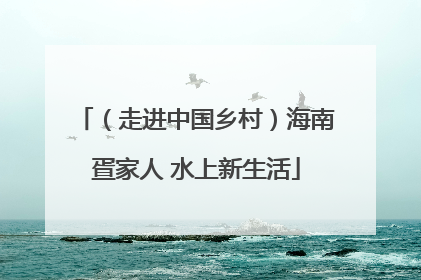 （走进中国乡村）海南疍家人 水上新生活