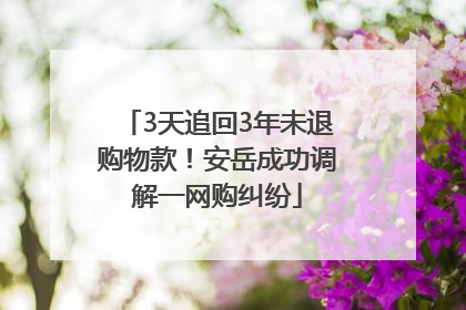 3天追回3年未退购物款！安岳成功调解一网购纠纷