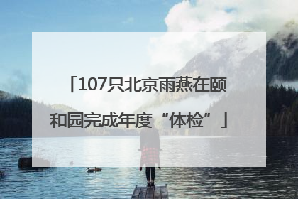 107只北京雨燕在颐和园完成年度“体检”