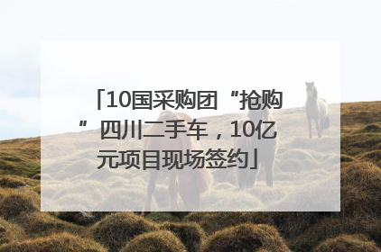 10国采购团“抢购”四川二手车，10亿元项目现场签约