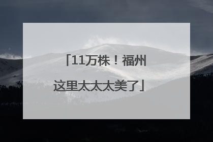 11万株！福州这里太太太美了