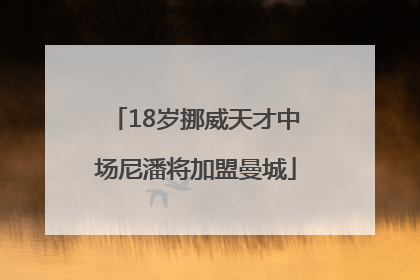 18岁挪威天才中场尼潘将加盟曼城