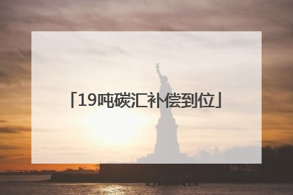 19吨碳汇补偿到位
